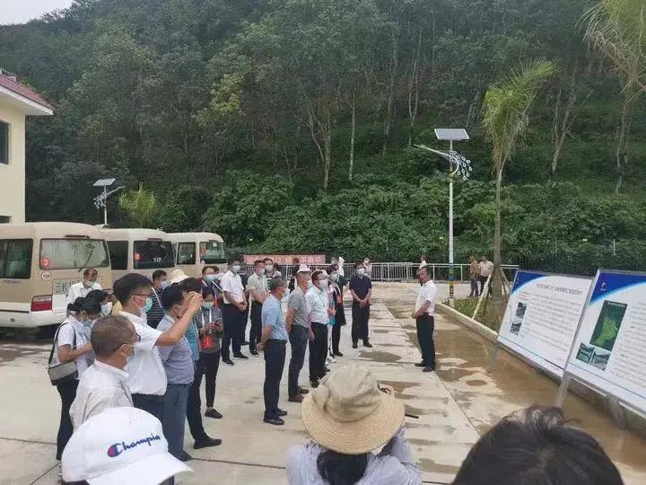 香港免费马资料最准的网站